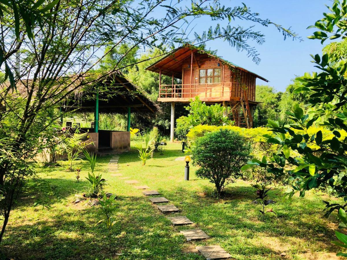 Sungreen Cottage 시기리야 외부 사진